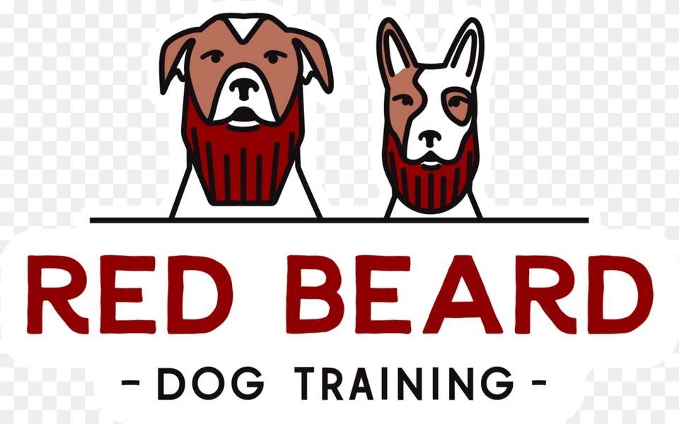Red Beard Dog Training Dogs Transparent, Animal, Mammal, Canine, Pet Free Png Download