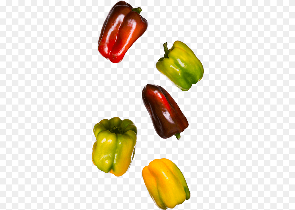 Red Bell Pepper, Bell Pepper, Food, Plant, Produce Free Png Download