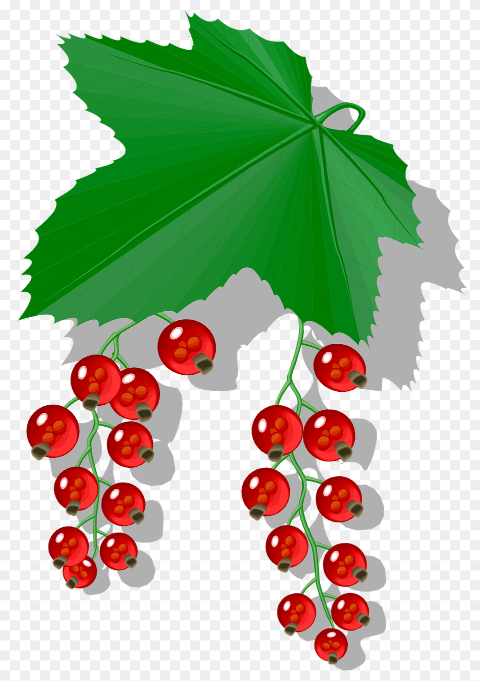 Red Berries And Leaves Clipart, Food, Fruit, Leaf, Plant Png Image