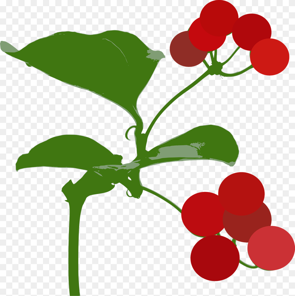 Red Berries On The Stem Clipart, Food, Fruit, Plant, Produce Free Transparent Png