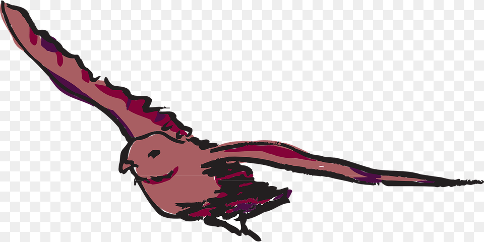 Red Bird, Animal, Flying, Person, Vulture Png Image