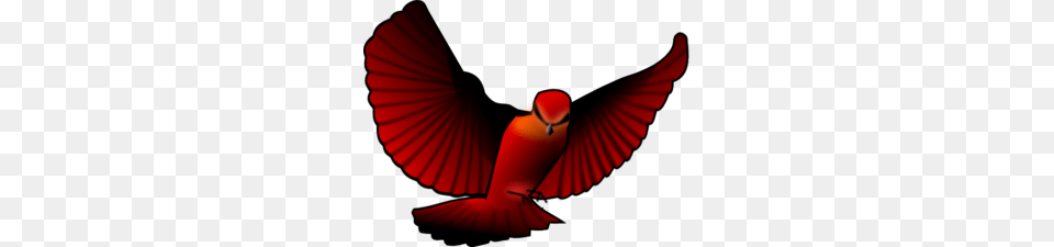 Red Bird Clip Art, Animal, Beak, Adult, Female Png Image