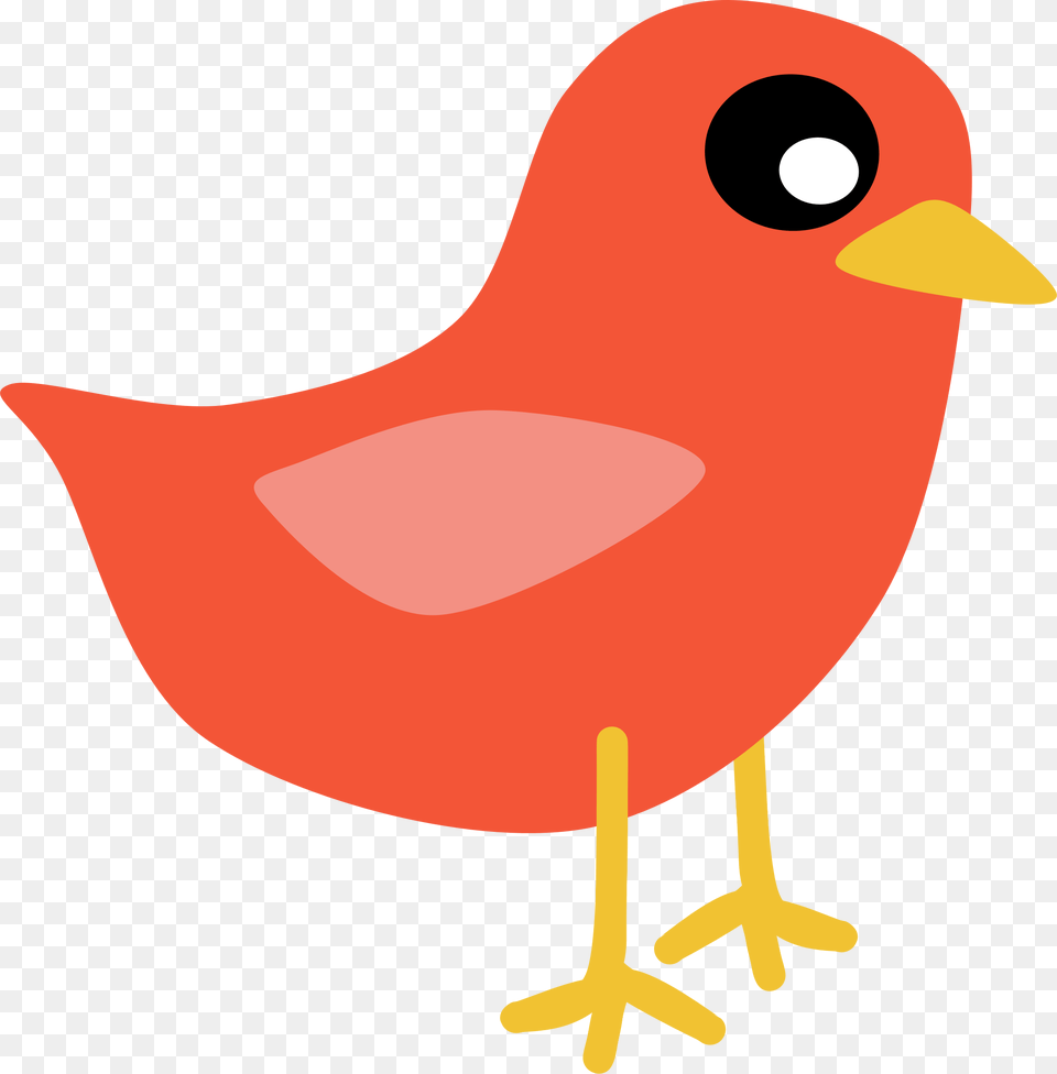 Red Bird Clipart, Animal, Beak, Fish, Sea Life Free Png