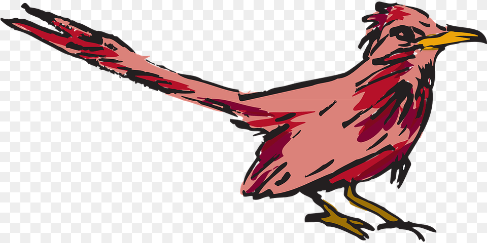 Red Bird Clipart 15 Buy Clip Art, Animal, Beak, Adult, Female Png