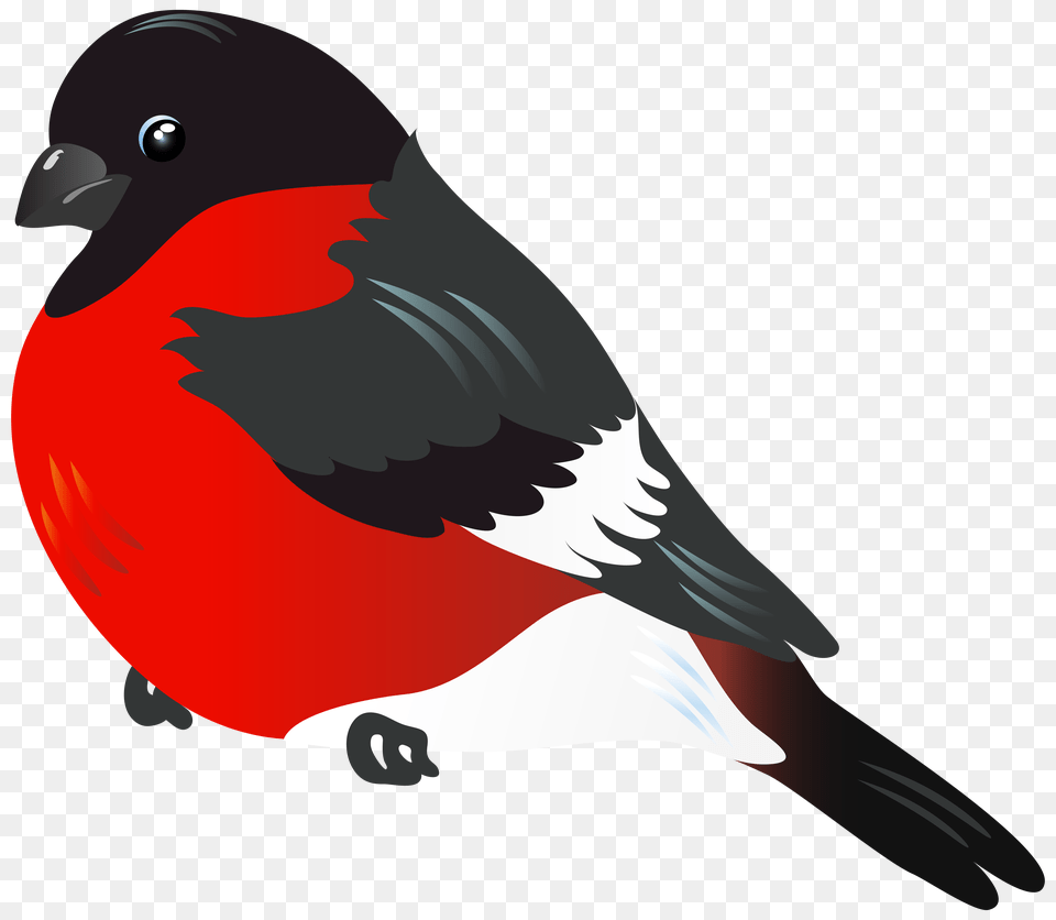 Red Bird Clipart, Animal, Finch, Beak, Fish Png Image