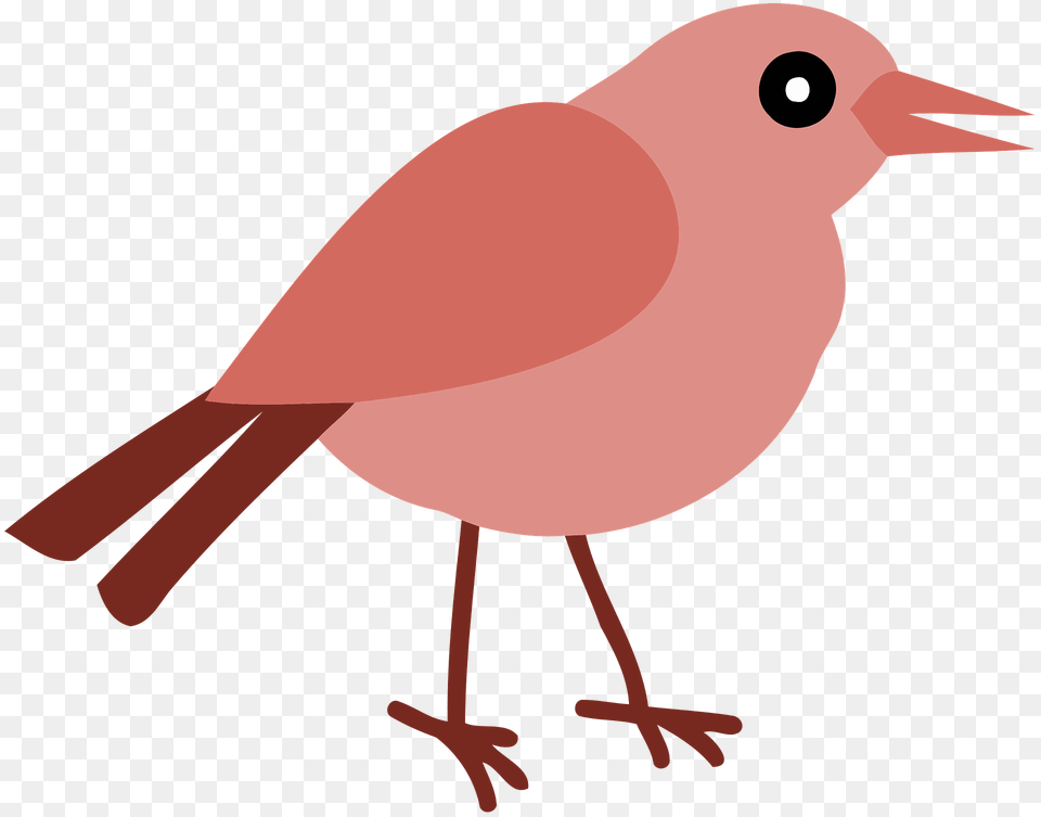 Red Bird Clipart, Animal, Fish, Sea Life, Shark Png Image