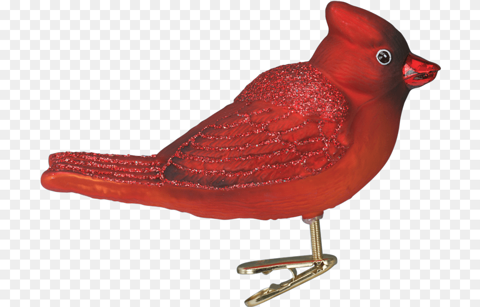 Red Bird Ornaments Christmas Ornament, Animal, Beak, Cardinal Free Png Download