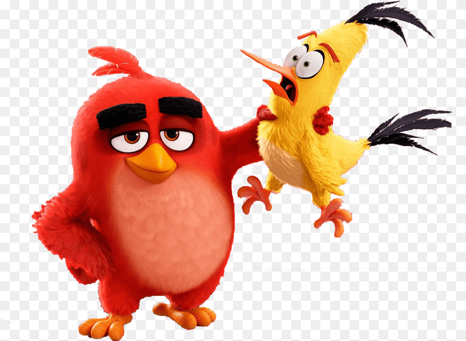 Red Birds And Cartoon Angry Birds Red X Stella, Animal, Bird Free Png