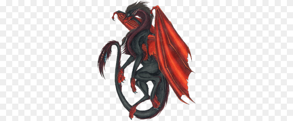 Red Black Dragon, Animal, Invertebrate, Spider Png Image