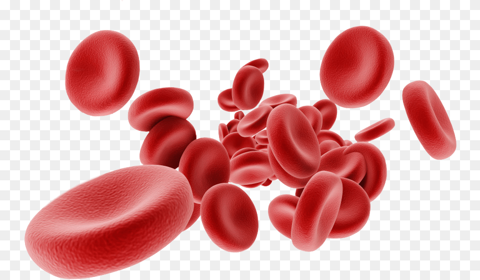 Red Blood Cells, Plant Png Image