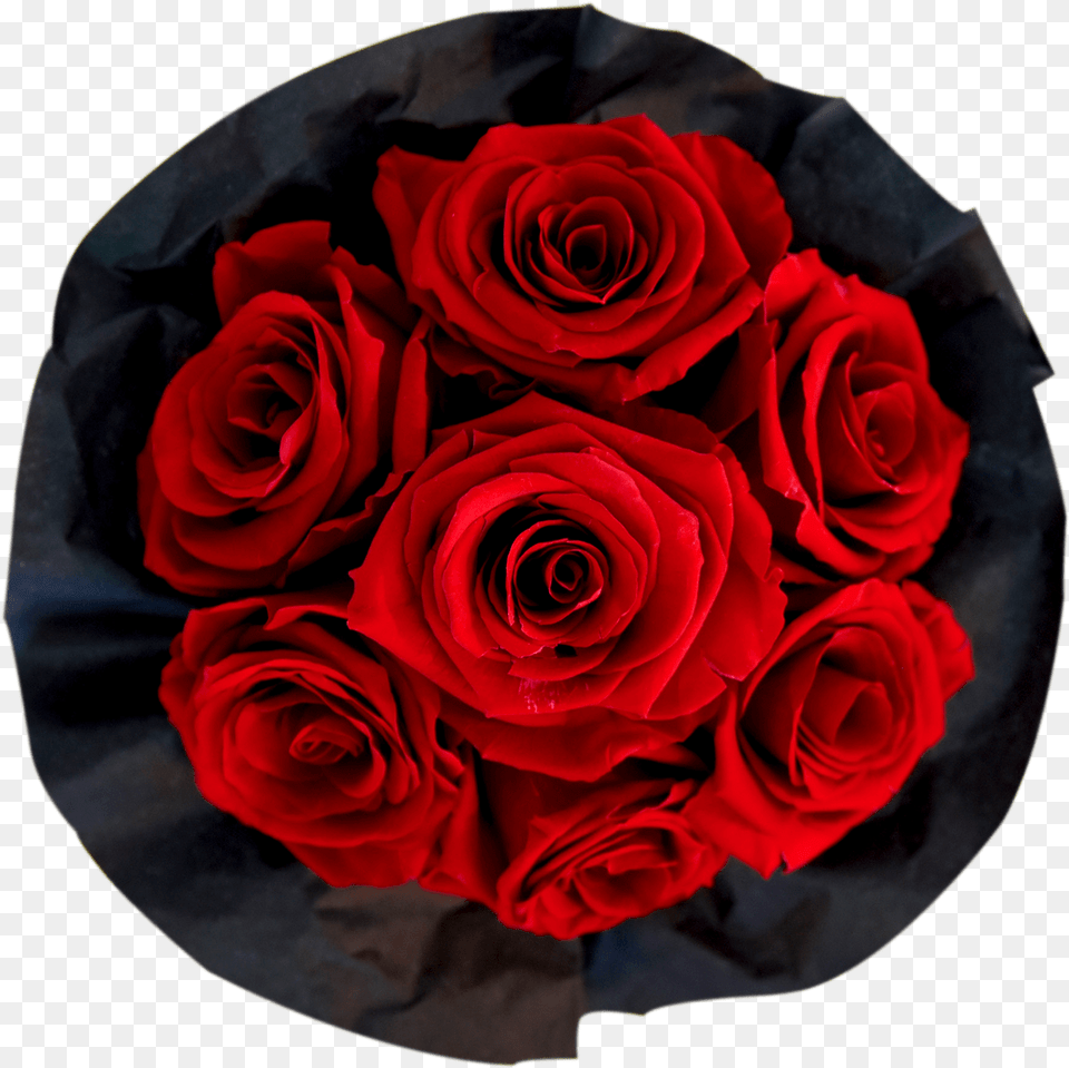 Red Bouquet Floribunda, Flower, Flower Arrangement, Flower Bouquet, Plant Png