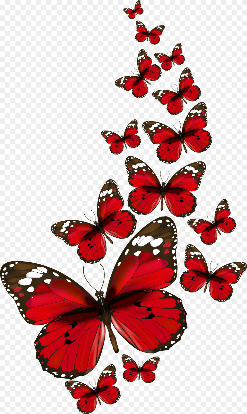Red Butterflies Vector Clipart Transparent Background Red Butterfly, Animal, Insect, Invertebrate, Chandelier Free Png Download