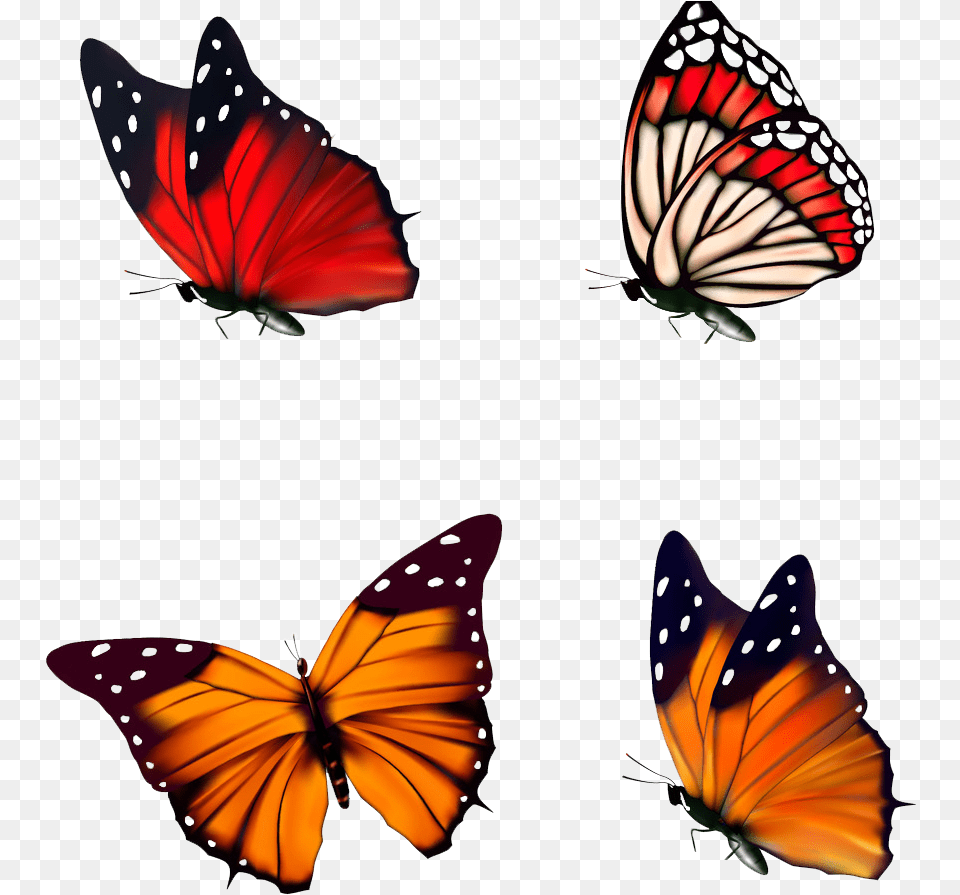 Red Butterfly, Animal, Insect, Invertebrate, Monarch Png