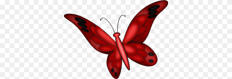 Red Butterfly, Animal, Dragonfly, Insect, Invertebrate Free Png Download