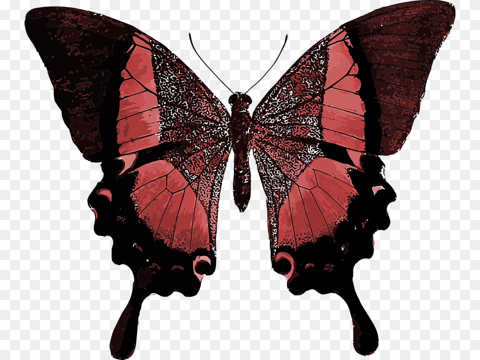 Red Butterfly Butterfly Quotes Your Wings Are Ready, Person, Animal, Insect, Invertebrate Png Image