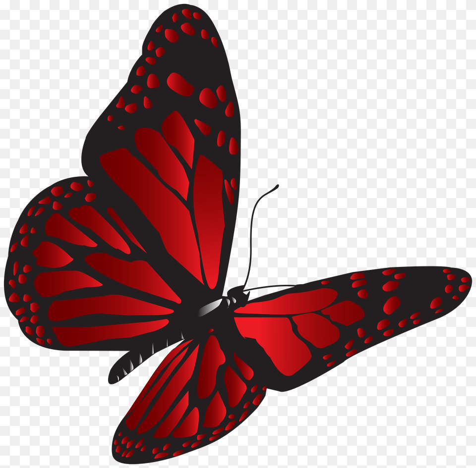 Red Butterfly Clip, Animal, Insect, Invertebrate, Monarch Free Transparent Png