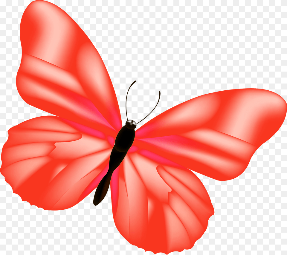 Red Butterfly Clipart Oranger Schmetterling, Flower, Petal, Plant, Anther Png