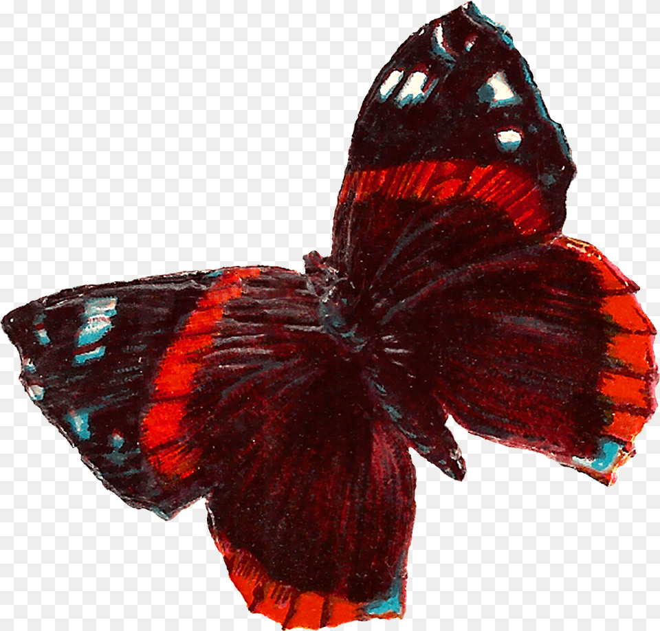 Red Butterfly Downloads Clip Art, Animal, Insect, Invertebrate, Bird Png Image