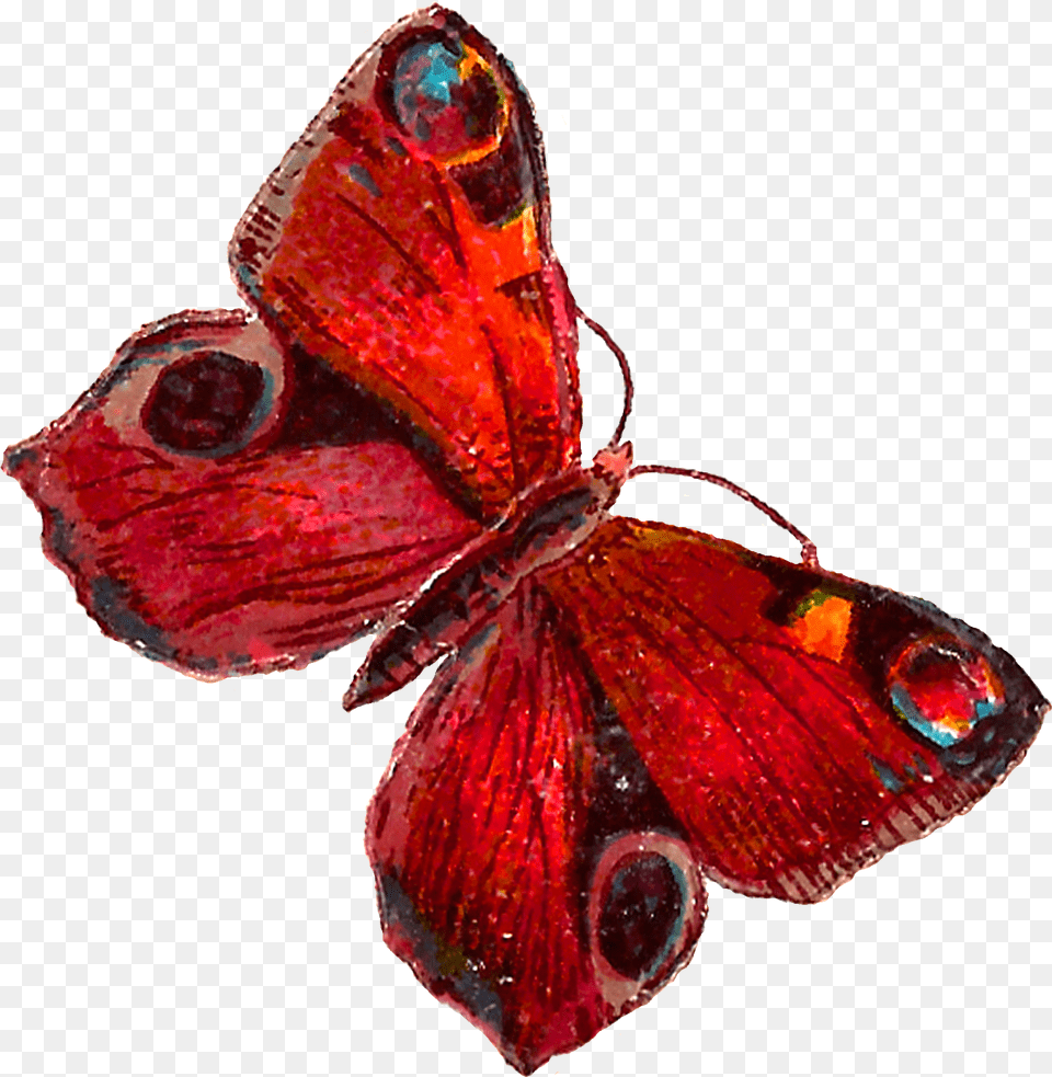 Red Butterfly Pic Red Butterfly Illustration, Accessories, Jewelry, Gemstone, Animal Png Image