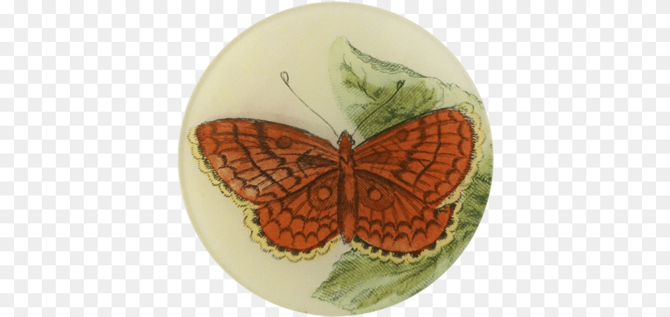 Red Butterfly Red Butterfly Hamearis Lucina, Art, Porcelain, Pottery, Animal Free Transparent Png