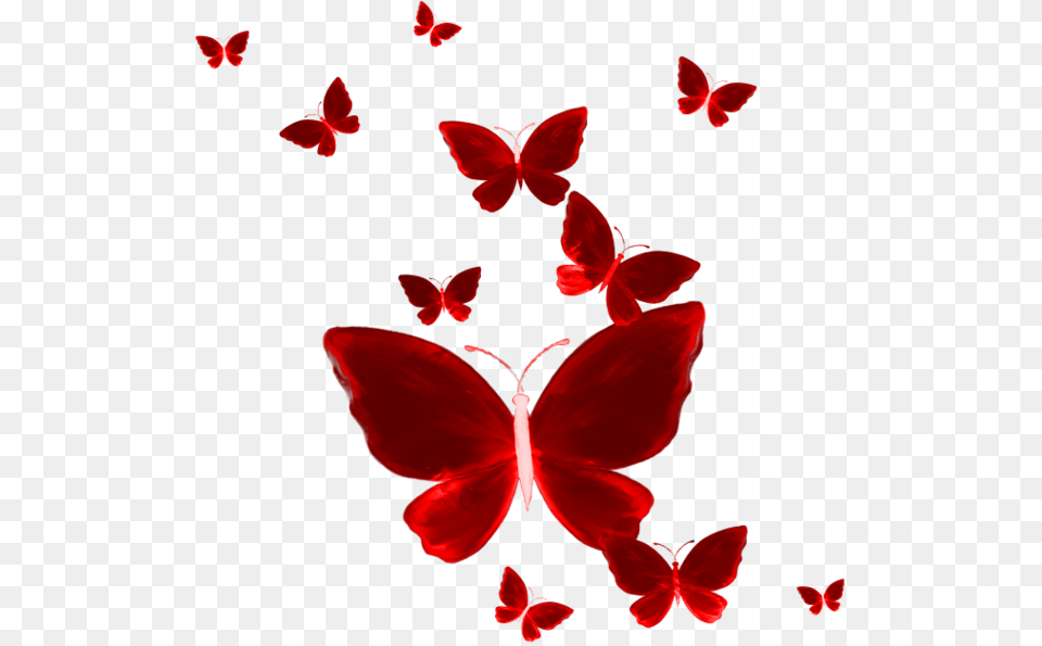 Red Butterfly Red Butterfly Hd, Flower, Petal, Plant Png Image