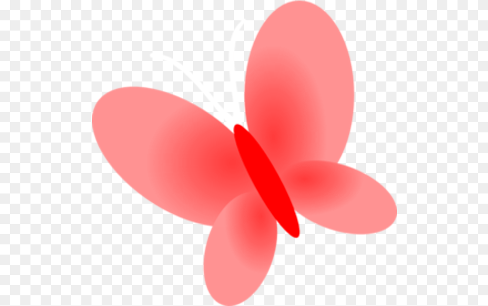 Red Butterfly Red Pink Butterfly Md Insect Dot, Flower, Petal, Plant, Anther Png Image