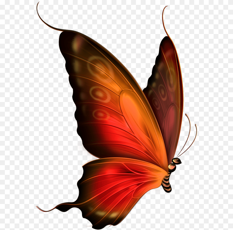 Red Butterfly Transparent Background Butterfly Gif, Pattern, Accessories, Invertebrate, Insect Png