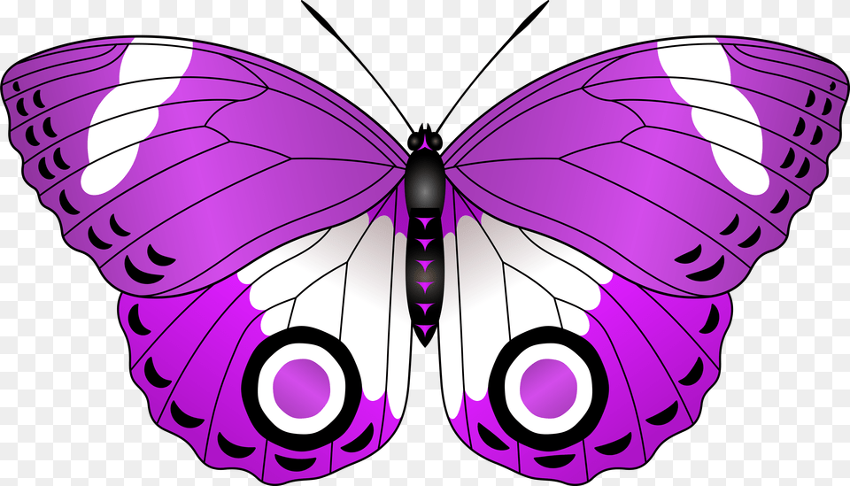 Red Butterfly Transparent Clipart Download, Purple, Animal, Insect, Invertebrate Png Image