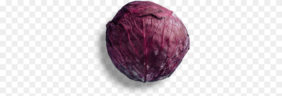 Red Cabbage, Vegetable, Food, Produce, Leafy Green Vegetable Png