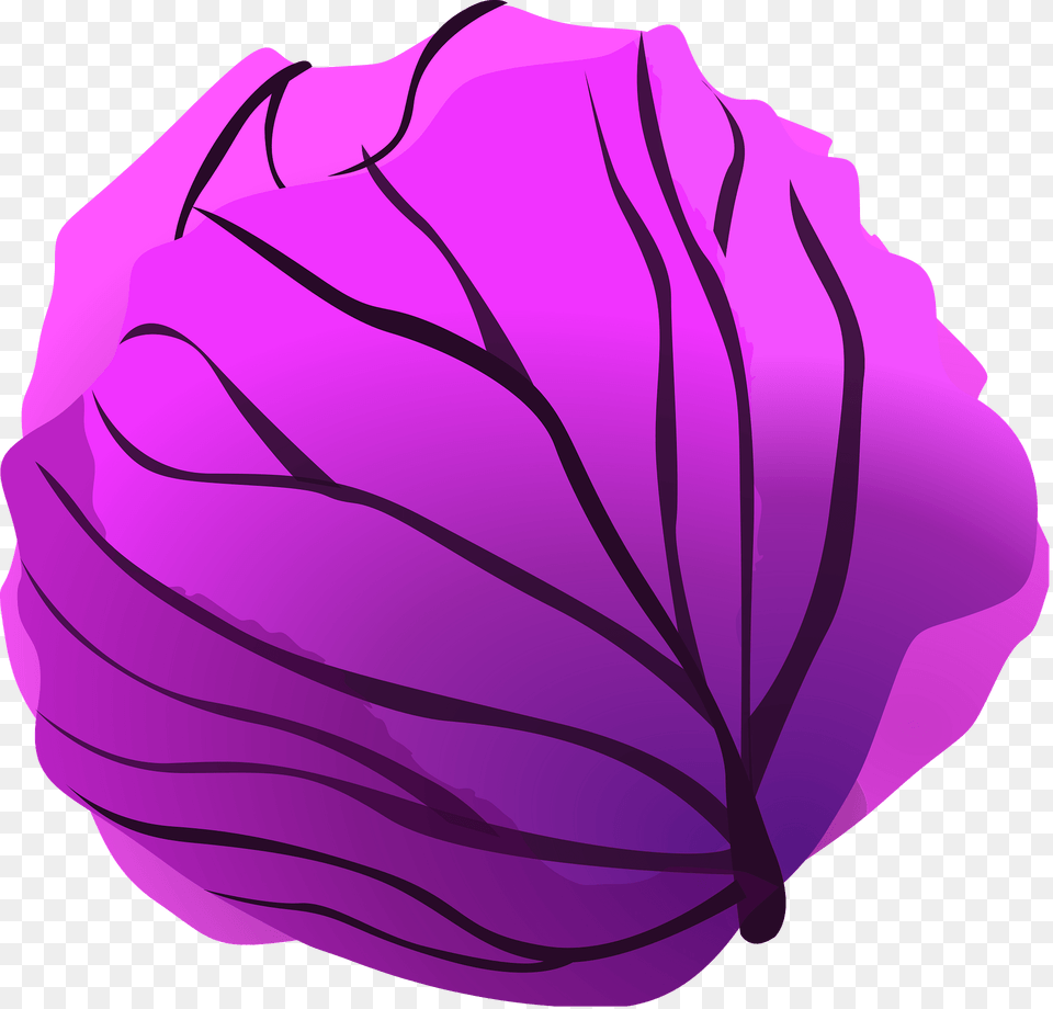 Red Cabbage Clipart, Food, Leafy Green Vegetable, Plant, Produce Png Image