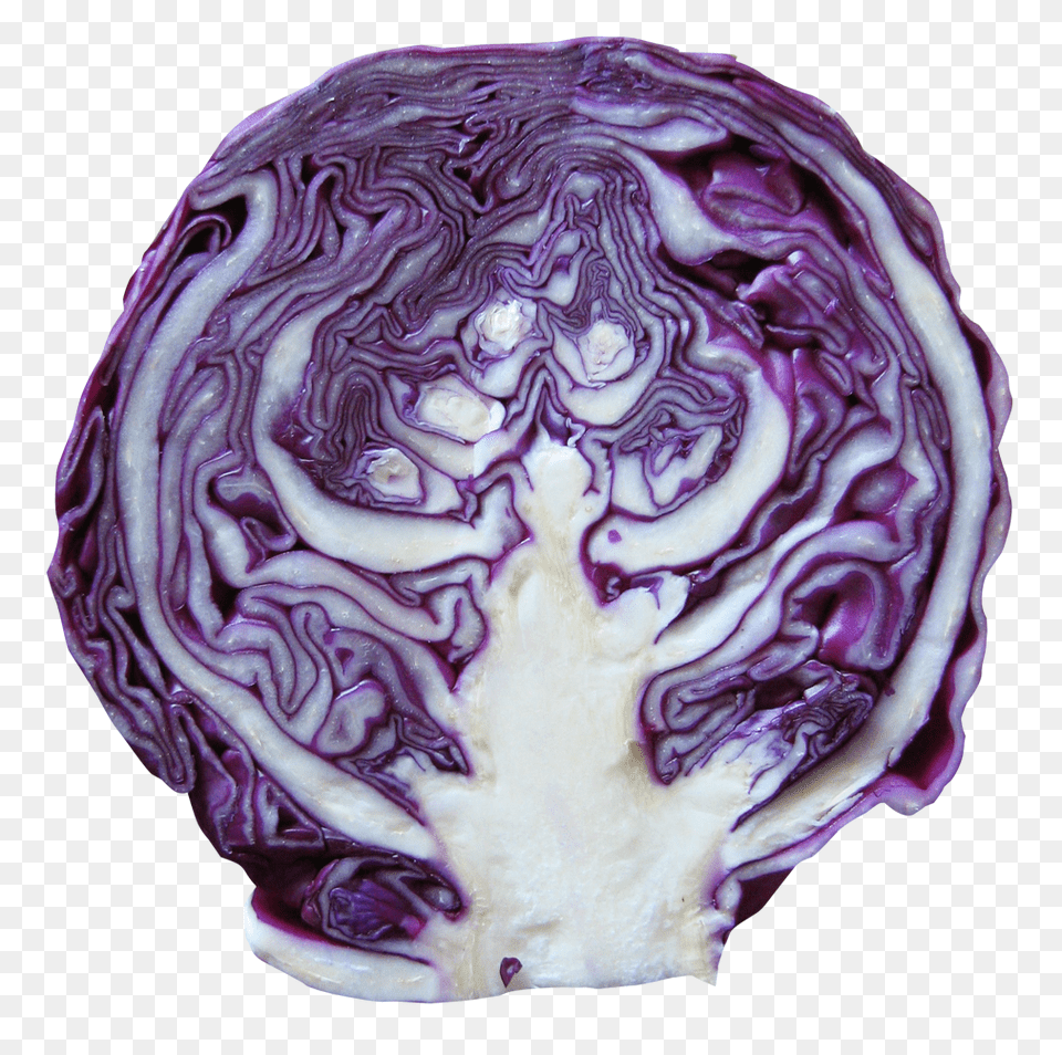 Red Cabbage Image, Food, Leafy Green Vegetable, Plant, Produce Free Png