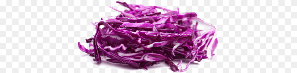 Red Cabbage Picture Colador, Food, Leafy Green Vegetable, Plant, Produce Free Transparent Png