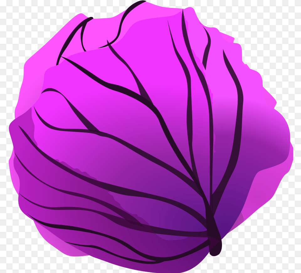 Red Cabbage Red Cabbage Clipart, Food, Leafy Green Vegetable, Plant, Produce Free Png