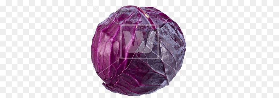 Red Cabbage Transparent Clipart Red Cabbage, Food, Leafy Green Vegetable, Plant, Produce Png Image