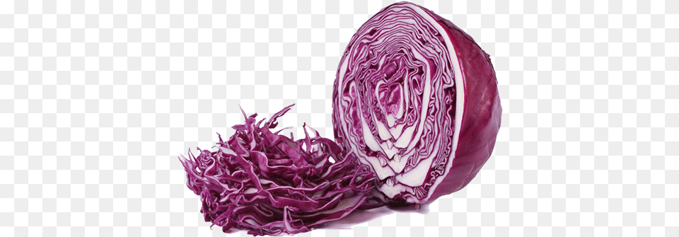 Red Cabbage U2013 Gyro Street Transparent Red Cabbage, Food, Leafy Green Vegetable, Plant, Produce Png Image