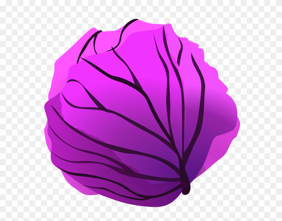 Red Cabbage Vegetable, Food, Leafy Green Vegetable, Plant, Produce Free Png