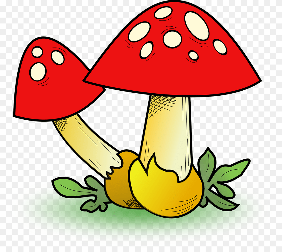 Red Capped Toadstool With White Spots Clipart, Fungus, Mushroom, Plant, Agaric Free Png