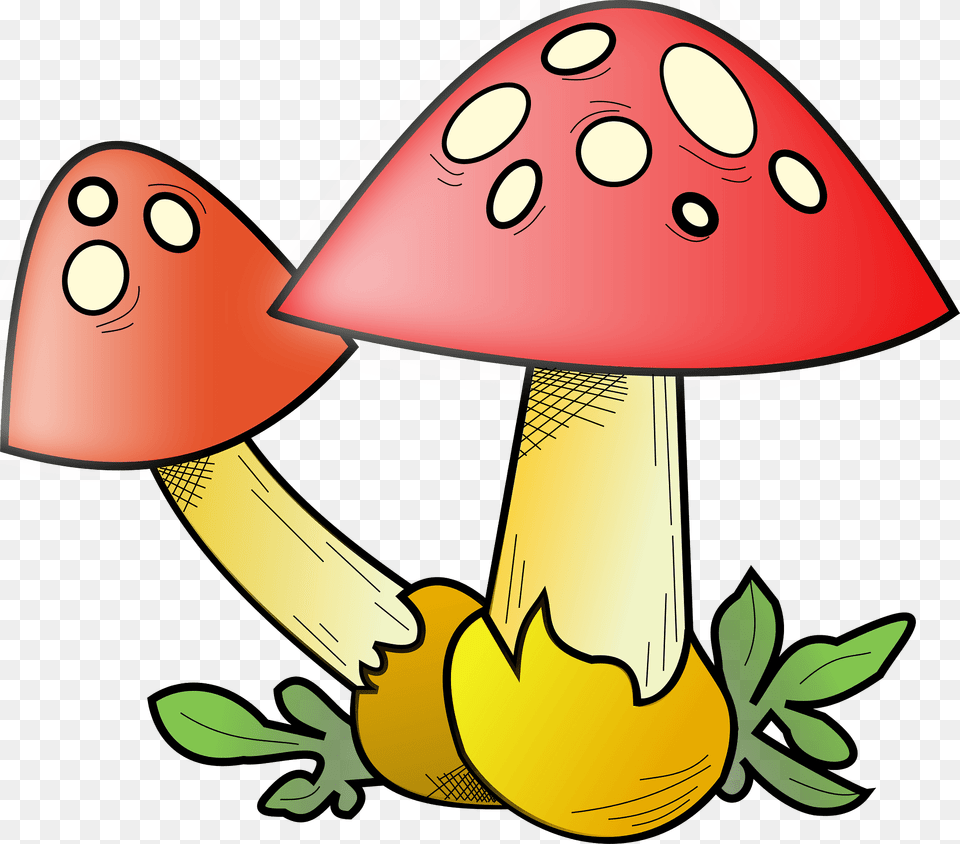 Red Capped Toadstools With White Spots Clipart, Agaric, Fungus, Mushroom, Plant Free Png