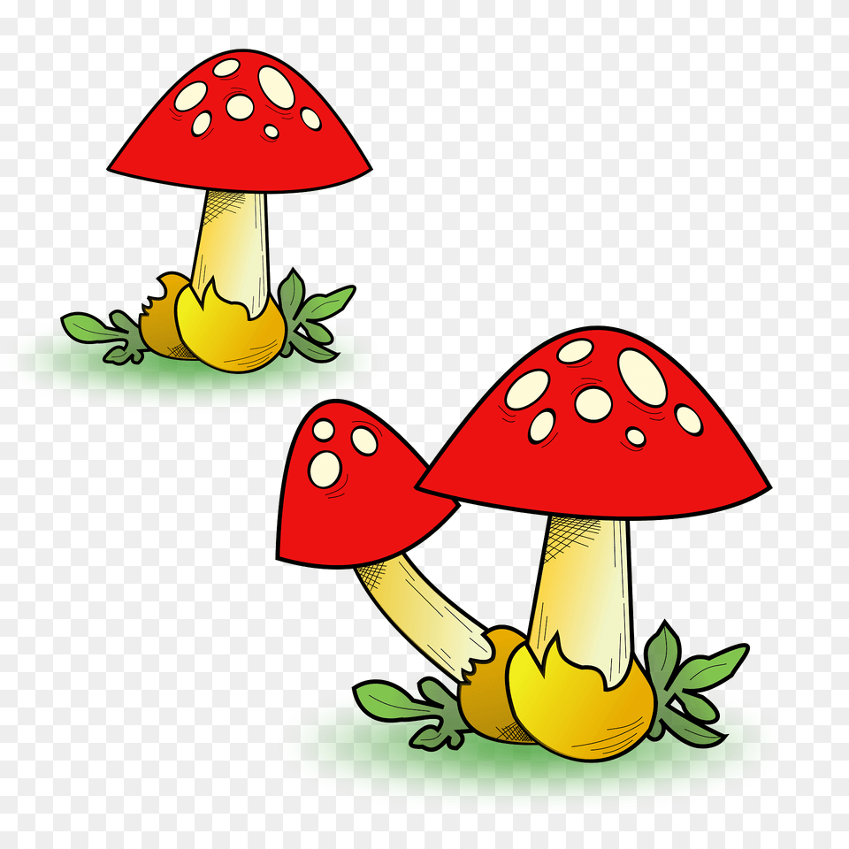 Red Capped Toadstools With White Spots Clipart, Fungus, Plant, Agaric, Mushroom Png Image