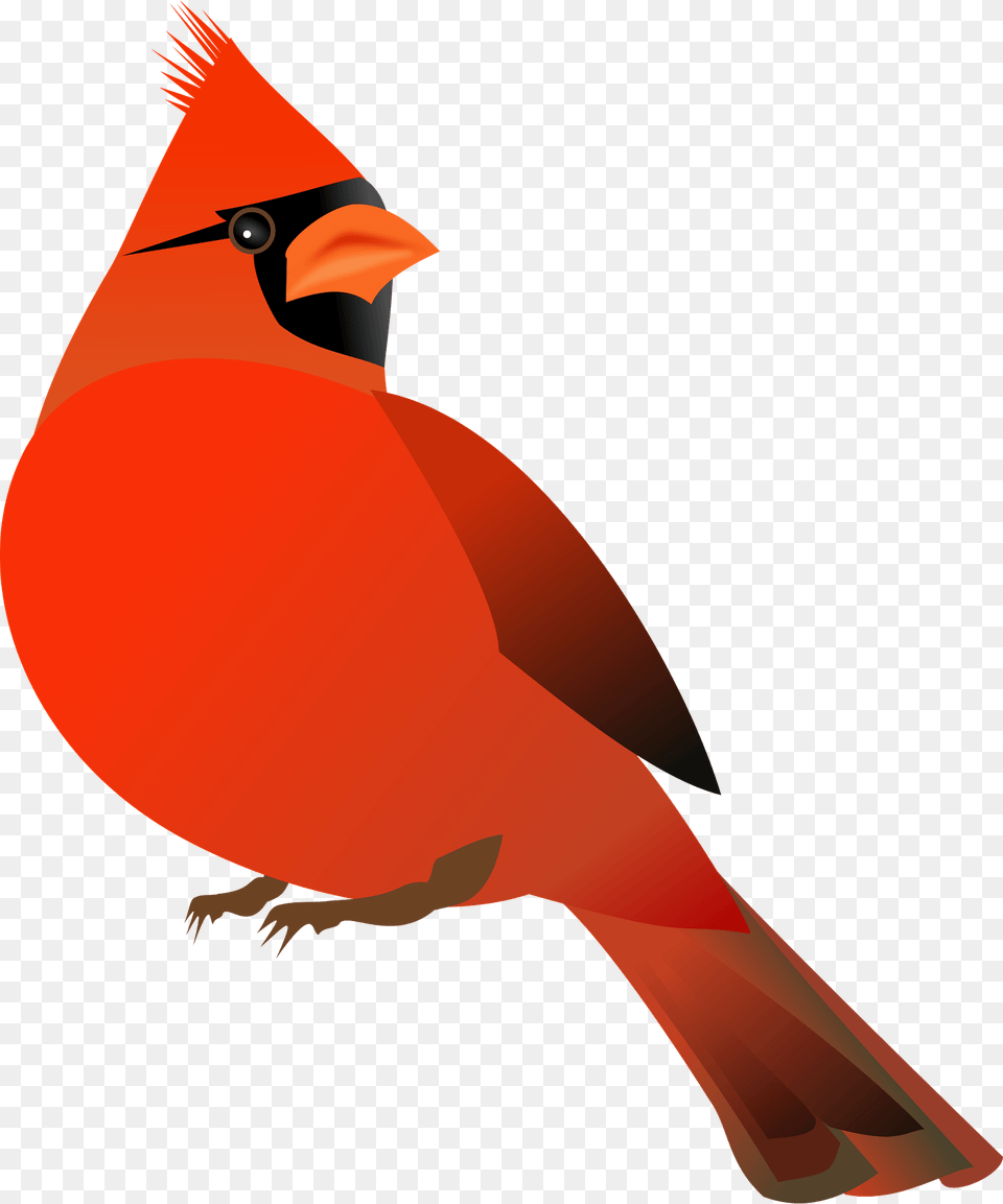 Red Cardinal Clipart, Animal, Bird, Adult, Female Png