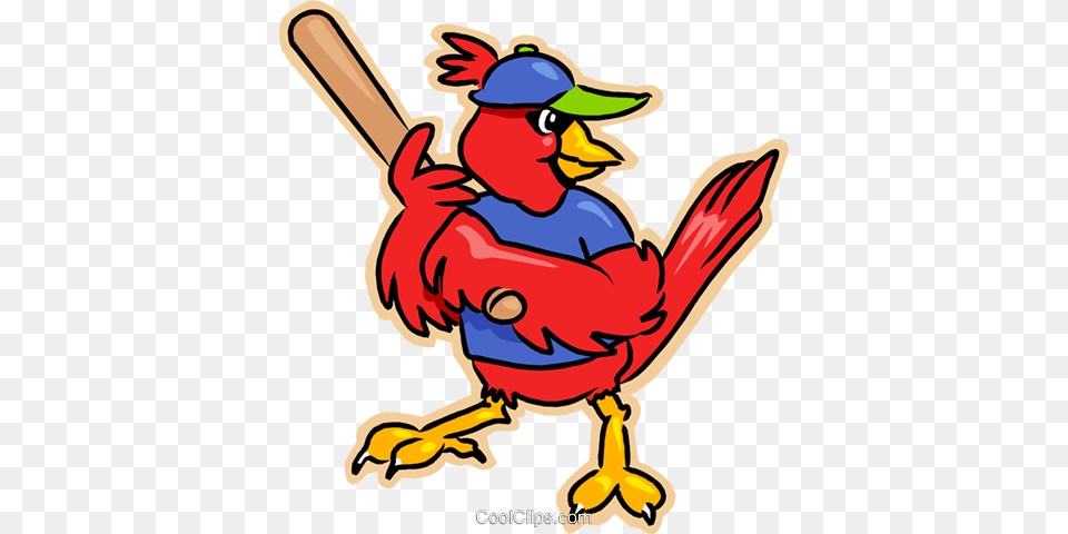 Red Cardinal Playing Baseball Royalty Vector Clip Art, Animal, Beak, Bird, Baby Free Transparent Png