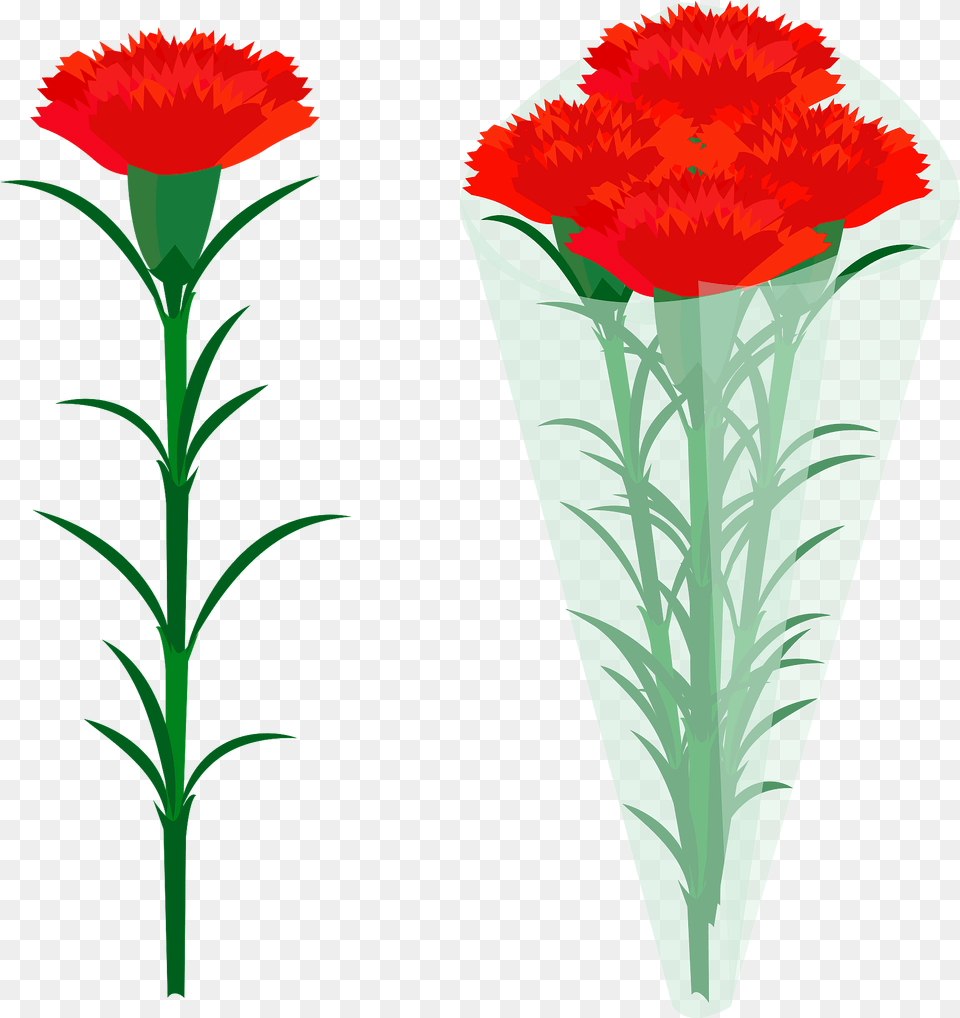 Red Carnation Flowers Clipart, Flower, Plant, Jar, Potted Plant Free Transparent Png