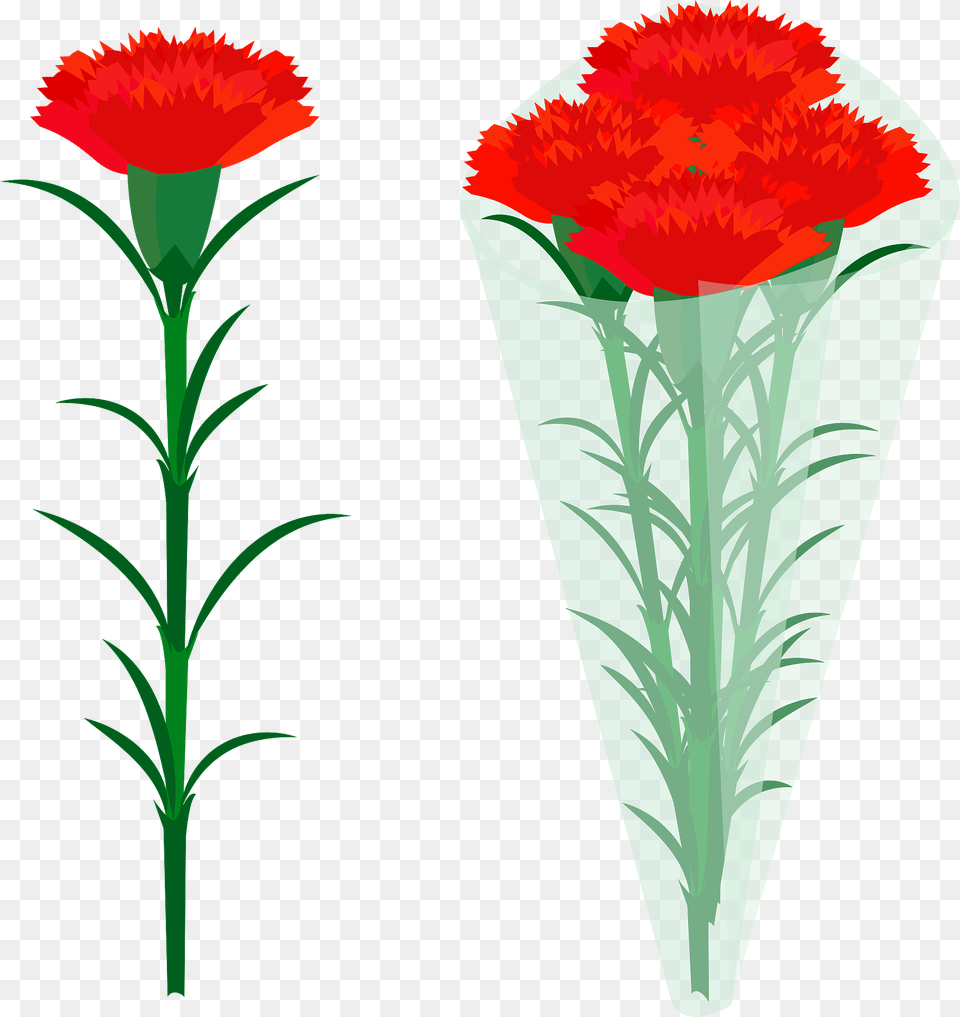 Red Carnation Flowers Clipart, Flower, Plant, Potted Plant, Jar Png Image