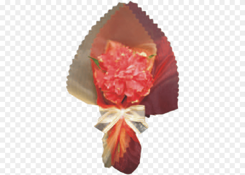 Red Carnation Fruit, Flower Bouquet, Plant, Flower, Flower Arrangement Png