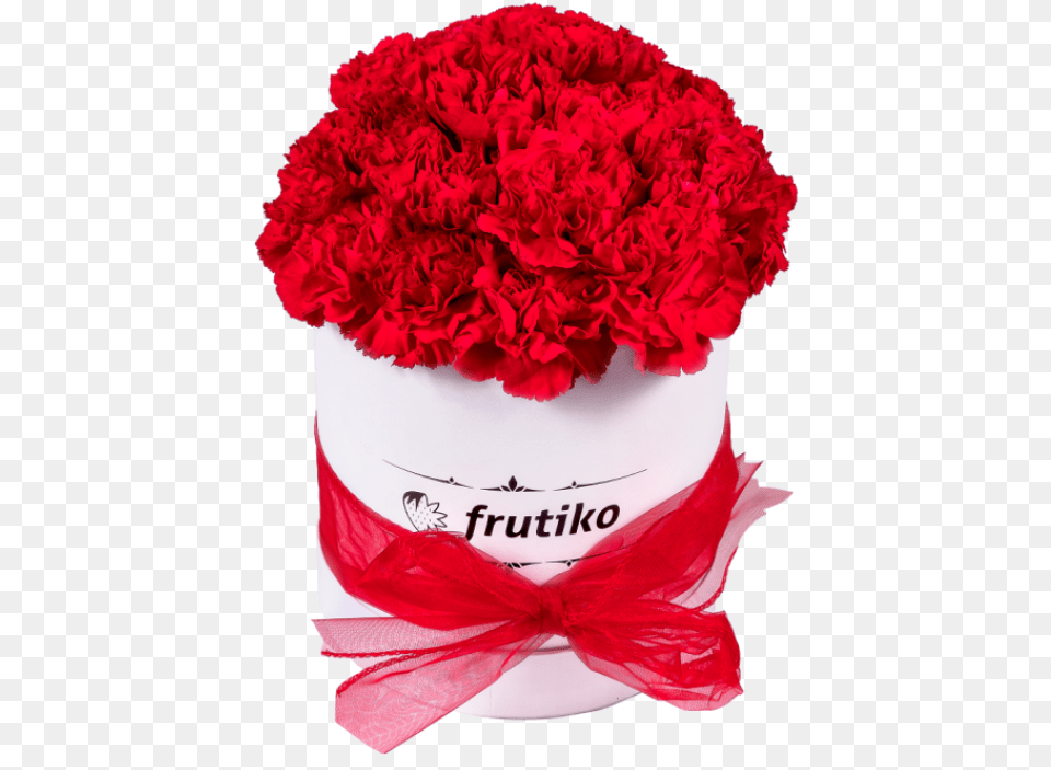 Red Carnations White Oval Box Cardboard Box, Carnation, Flower, Plant Png Image