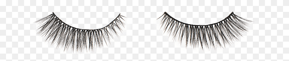 Red Carpet Eyelashes Product Eyelash Extensions, Accessories, Chandelier, Jewelry, Lamp Free Png Download