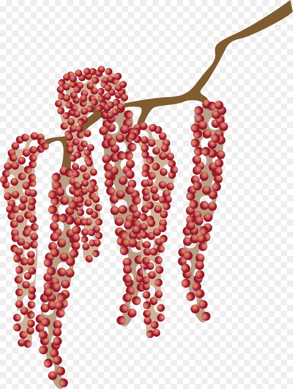 Red Catkin Plant Clipart, Flower, Petal, Tree, Produce Free Transparent Png