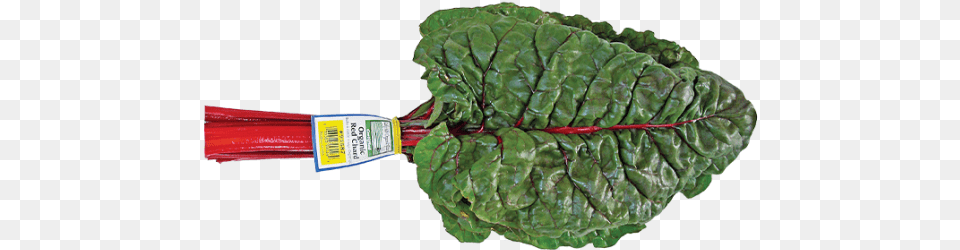 Red Chard Spinach, Food, Produce, Leafy Green Vegetable, Plant Png Image