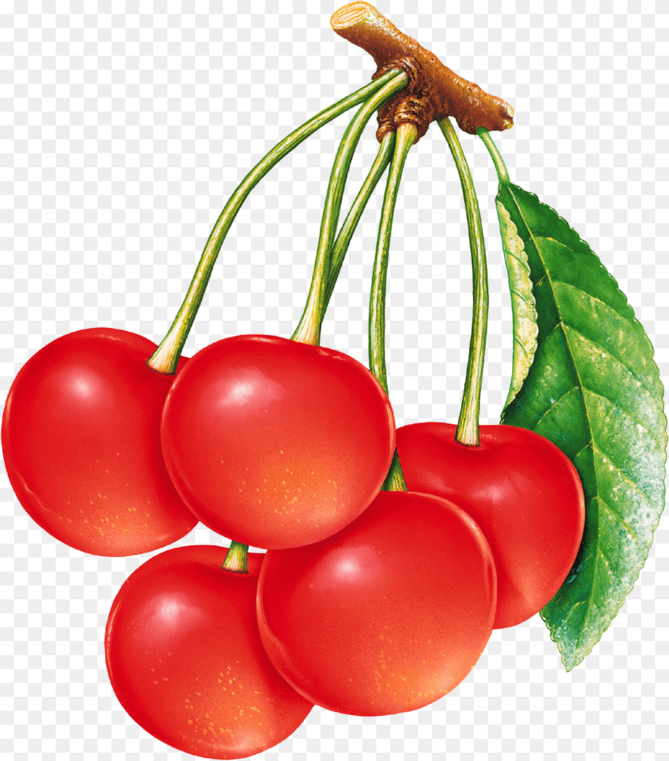 Red Cherry, Food, Fruit, Plant, Produce Png