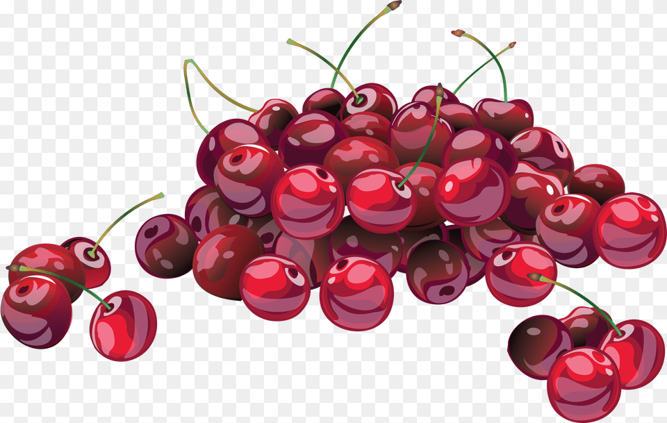 Red Cherry Download Cherries Illustration, Food, Fruit, Plant, Produce Png Image